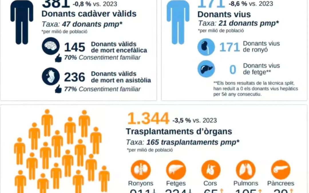 Hablemos de Trasplante y Donación